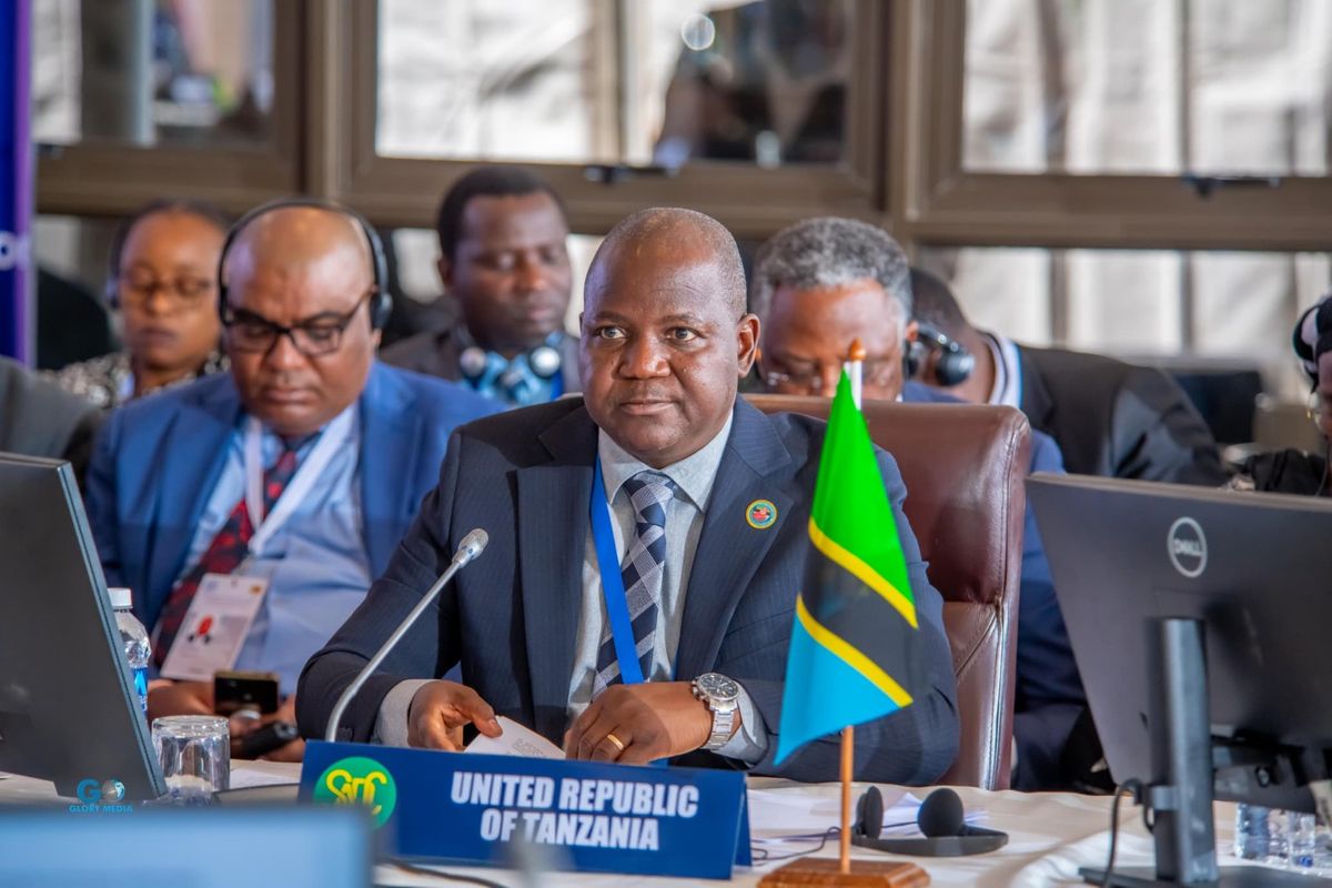 Tanzania gains SADC recognition in disaster management systems