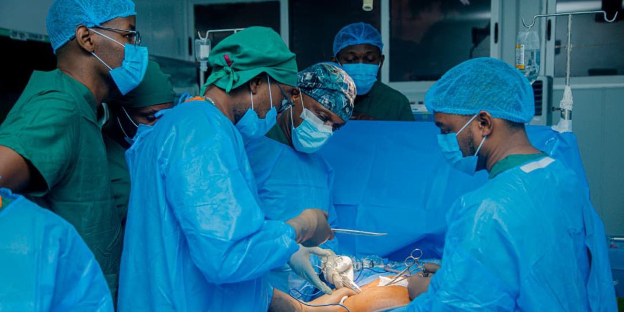 Muhimbili makes history with keyhole kidney transplants on four ...