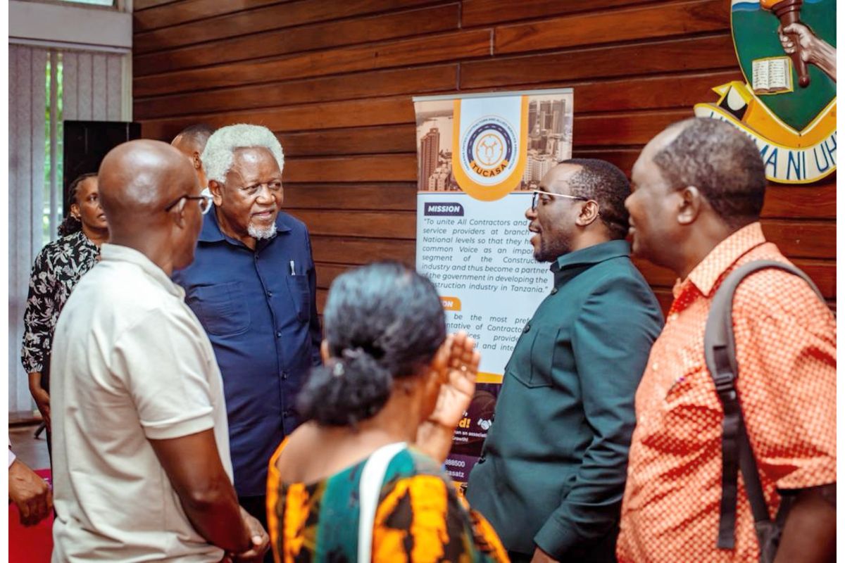 Why PPPs are crucial in Tanzania's water provision ambitions