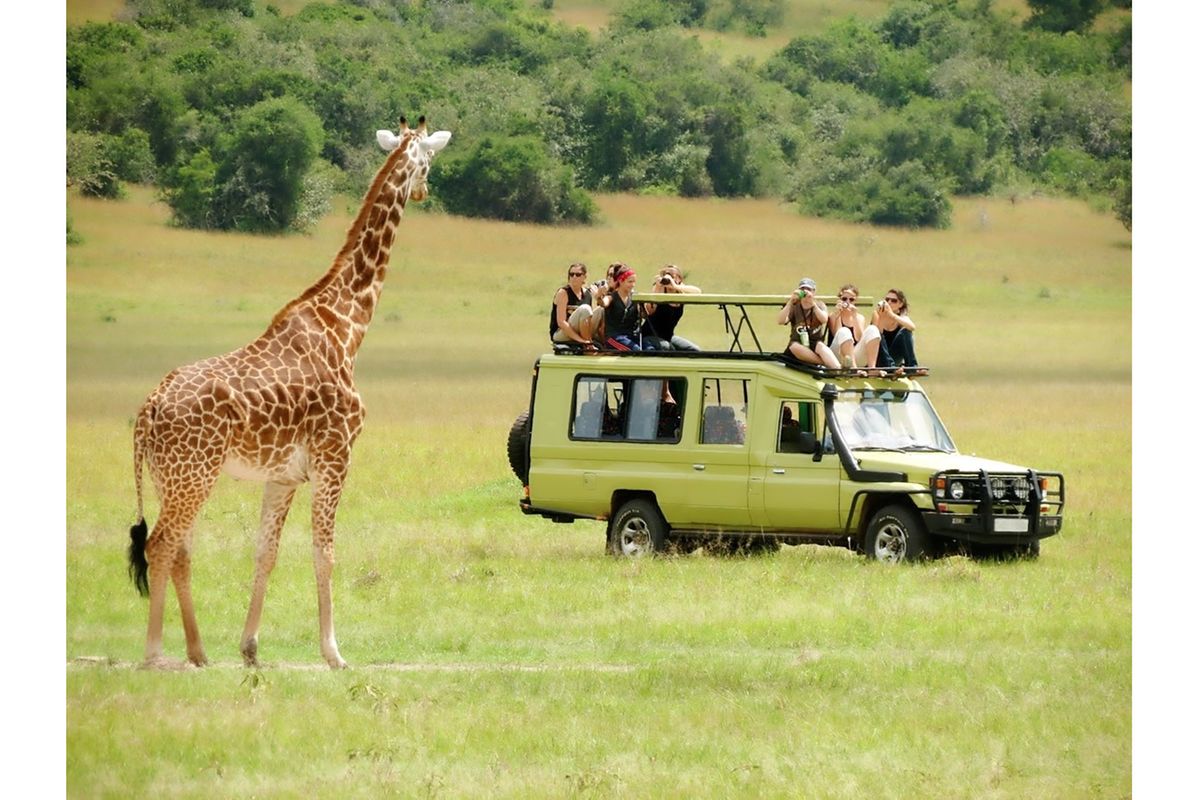 Tanzania eyes Afcon tourism windfall with aggressive promotion strategy