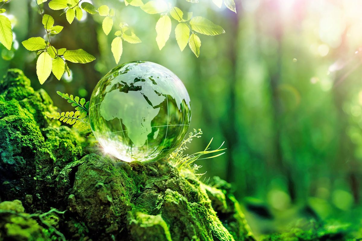 Tanzania opens carbon market to citizens as 99 projects register