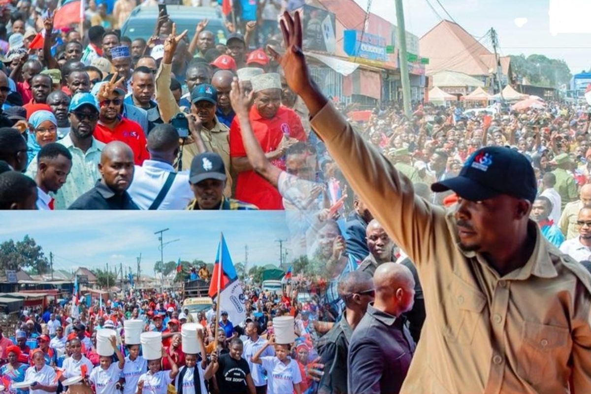 Chadema leaders renew calls for new Constitution, political reforms in Tanzania