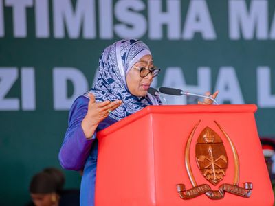 Samia forms new criminal inquiry commission into 2025 election violence