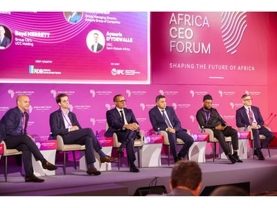 Tanzanian tycoon urges African firms to fund continent’s future