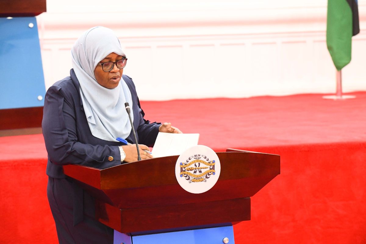 Zanzibar Seeks Sh405.89 Billion for Six Health Priorities