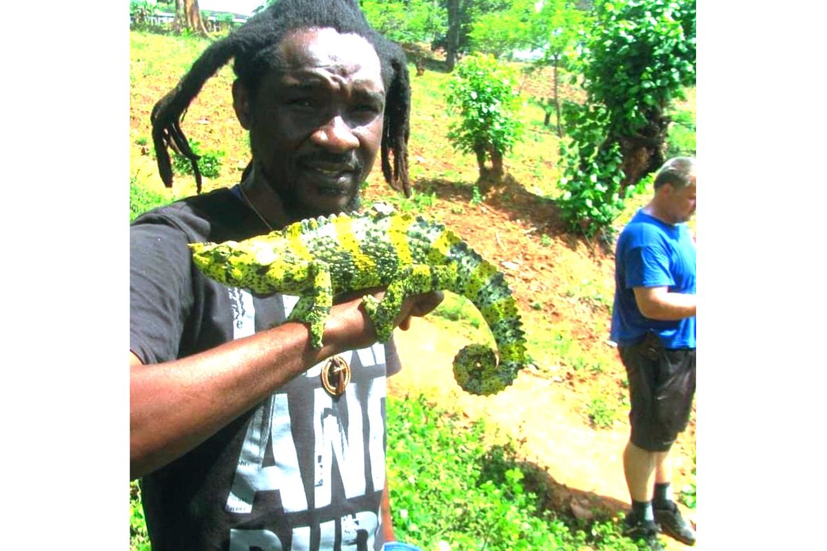 Amani emerges as global eco-tourism gem as visitor numbers rise
