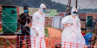 Ebola doctors