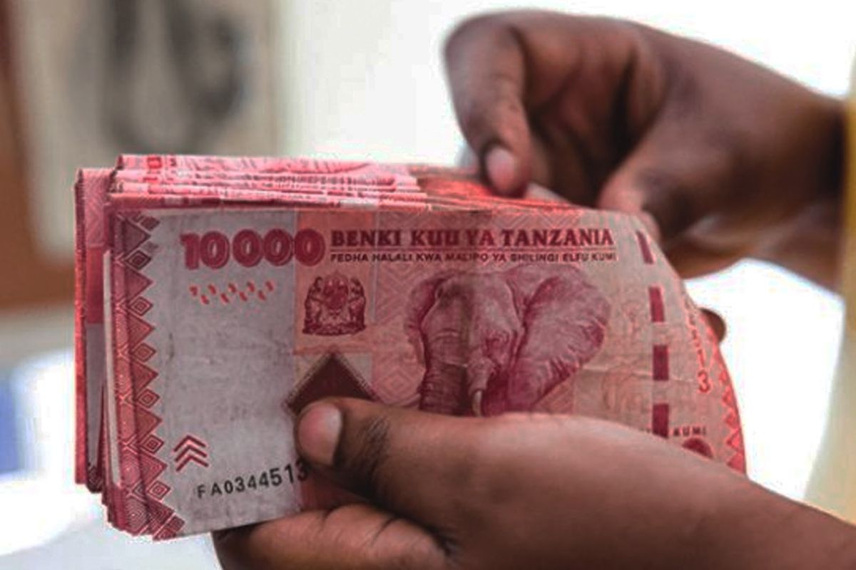 Diaspora remittances hit Sh3.3 trillion as Tanzania deepens global engagement
