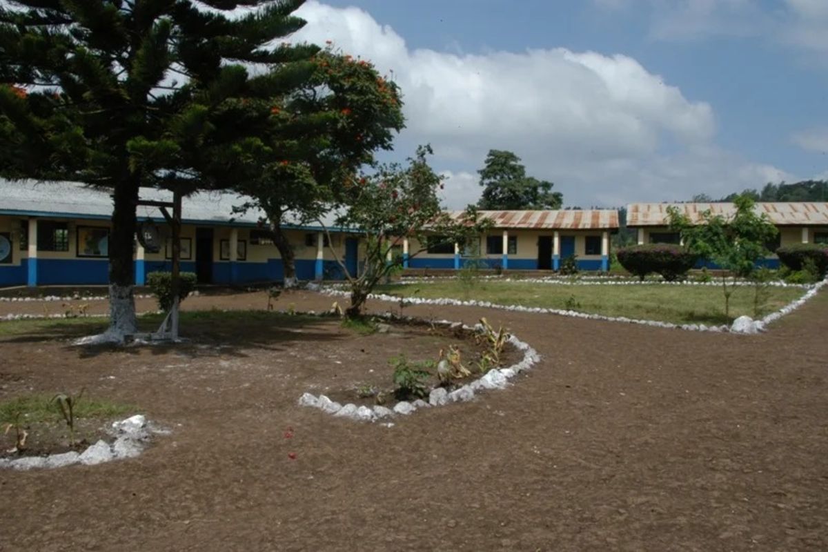 The covert privatisation of Tanzania’s public education