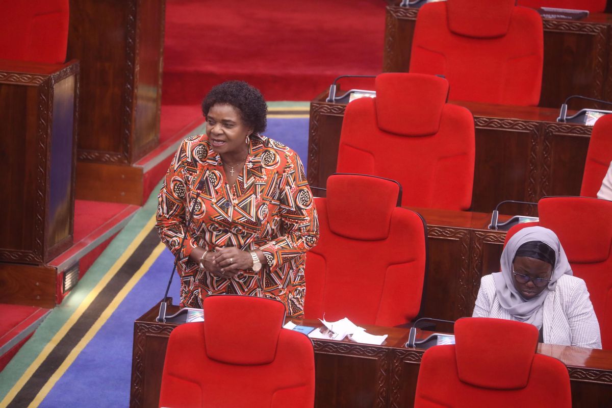 Tanzania seeks investors for massive redevelopment drive move
