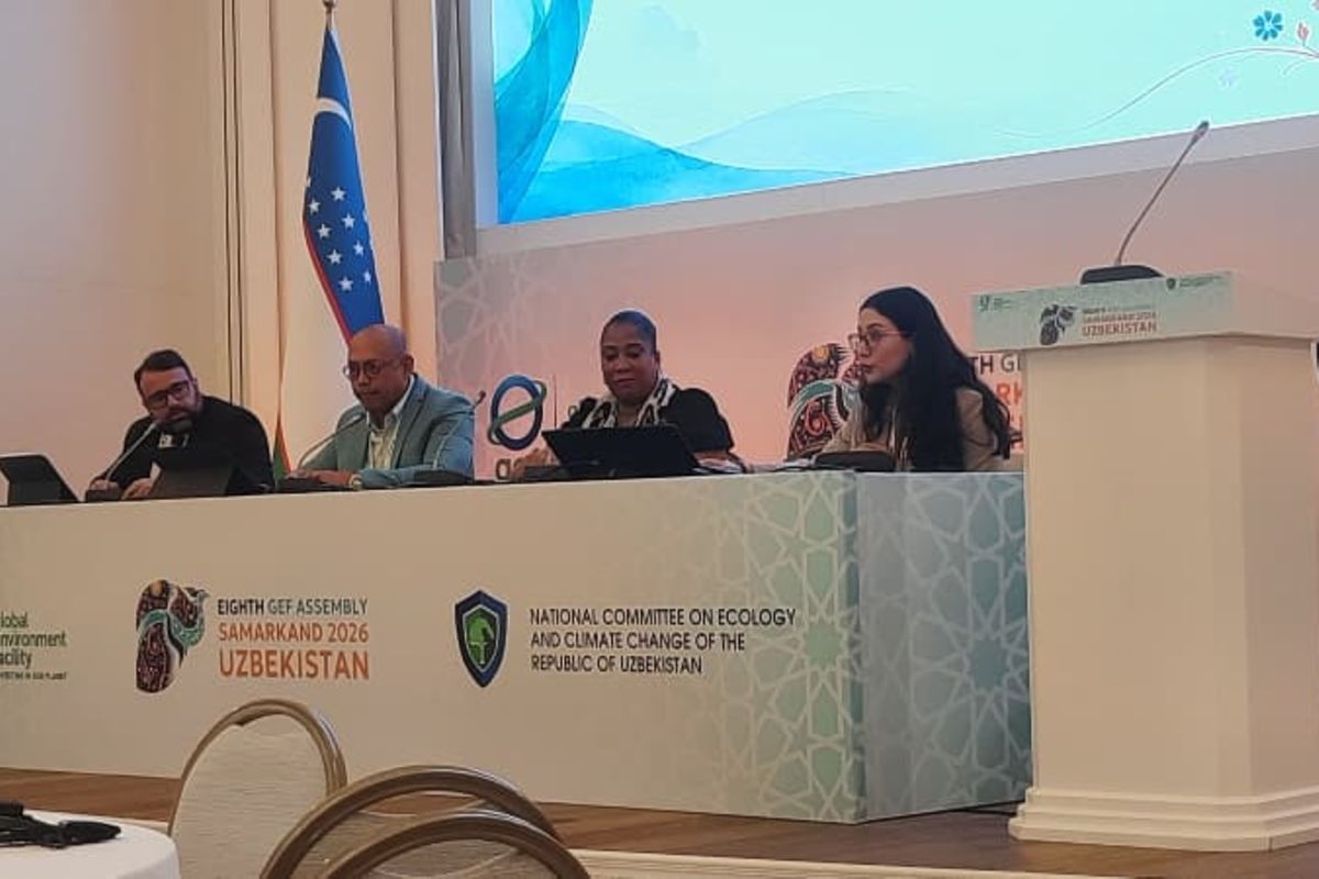 Experts call for stronger policy coordination to maximise green investments