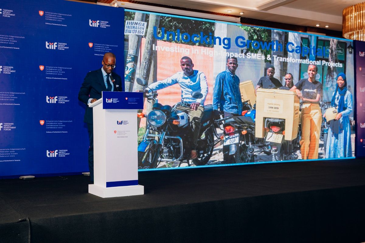 Stakeholders: Agriculture, blue economy, tech emerge as Tanzania’s top capital magnets