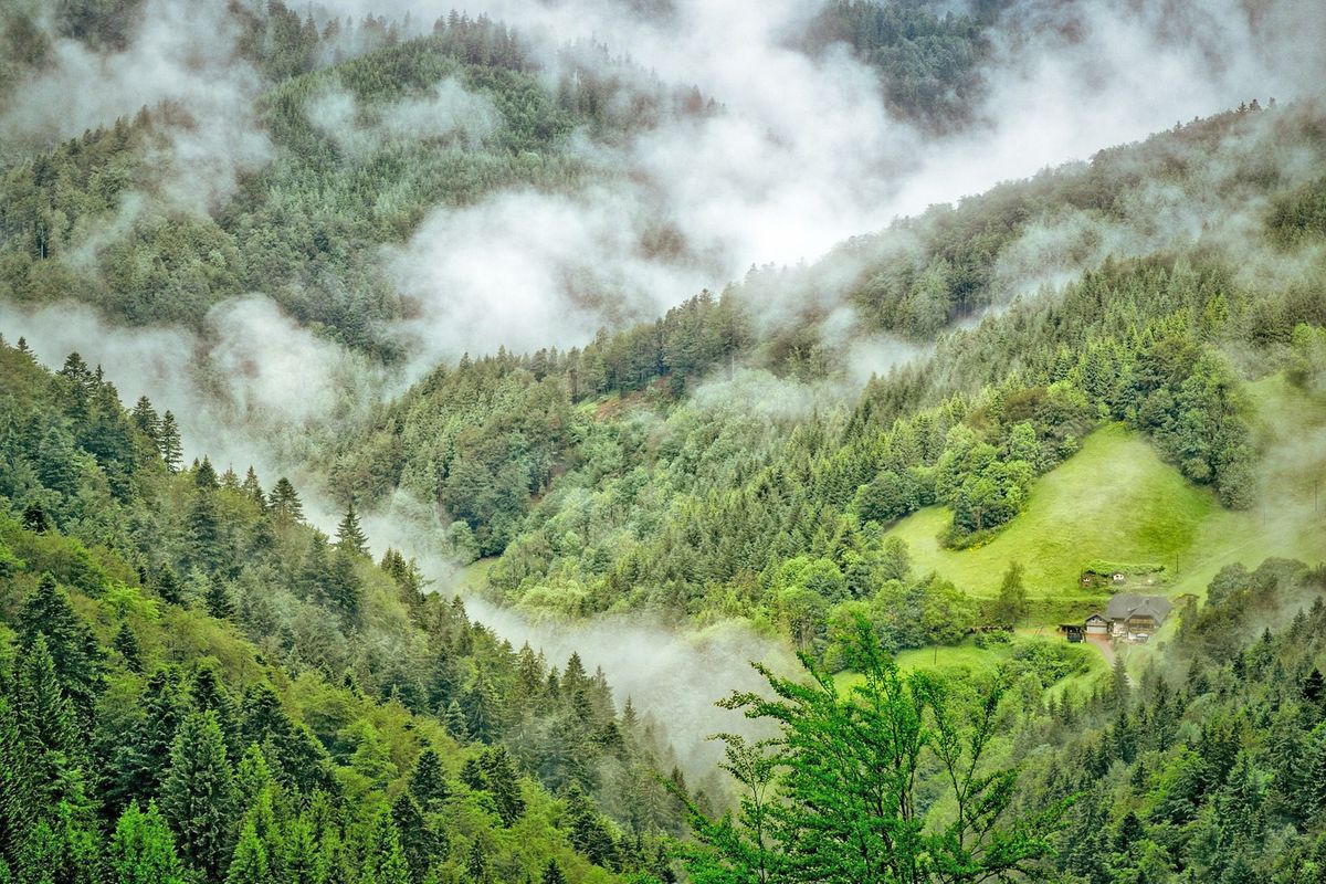 Can nature become Tanzania’s next economic growth frontier?