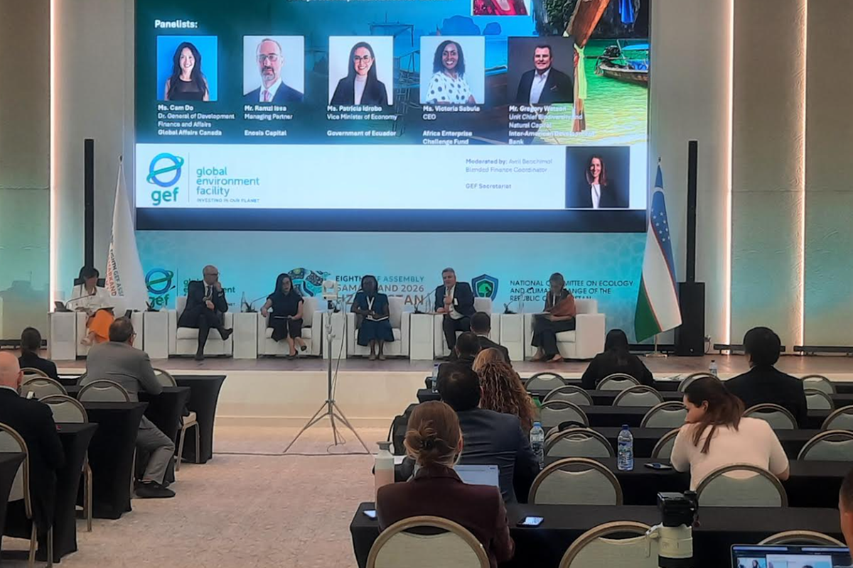 Experts back blended finance as solution to Africa's growing environmental funding gap