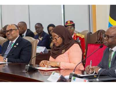 Singapore, Tanzania deepen economic ties in push for trade and investment growth
