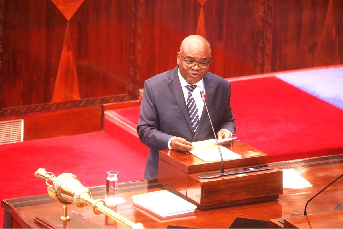 Growth accelerates, investment hits record as Tanzania enters new development era