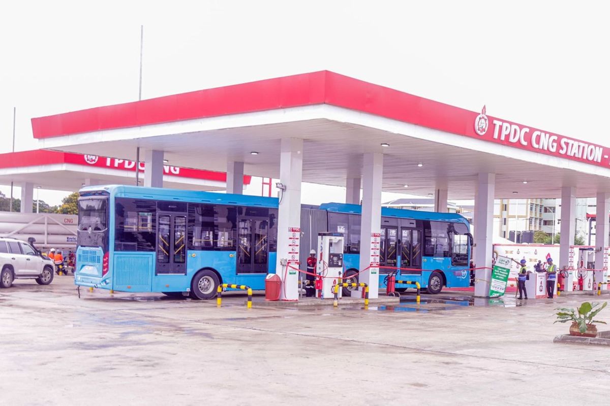Tanzania orders public institutions to shift to electric, gas-powered vehicles