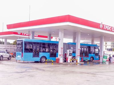 Tanzania orders public institutions to shift to electric, gas-powered vehicles