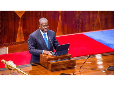 Tanzania targets domestic revenue as donor grants fall 39pc