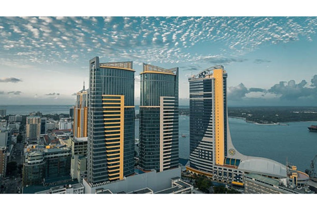 Wanted: Sustainable insurance and Pan-African capital