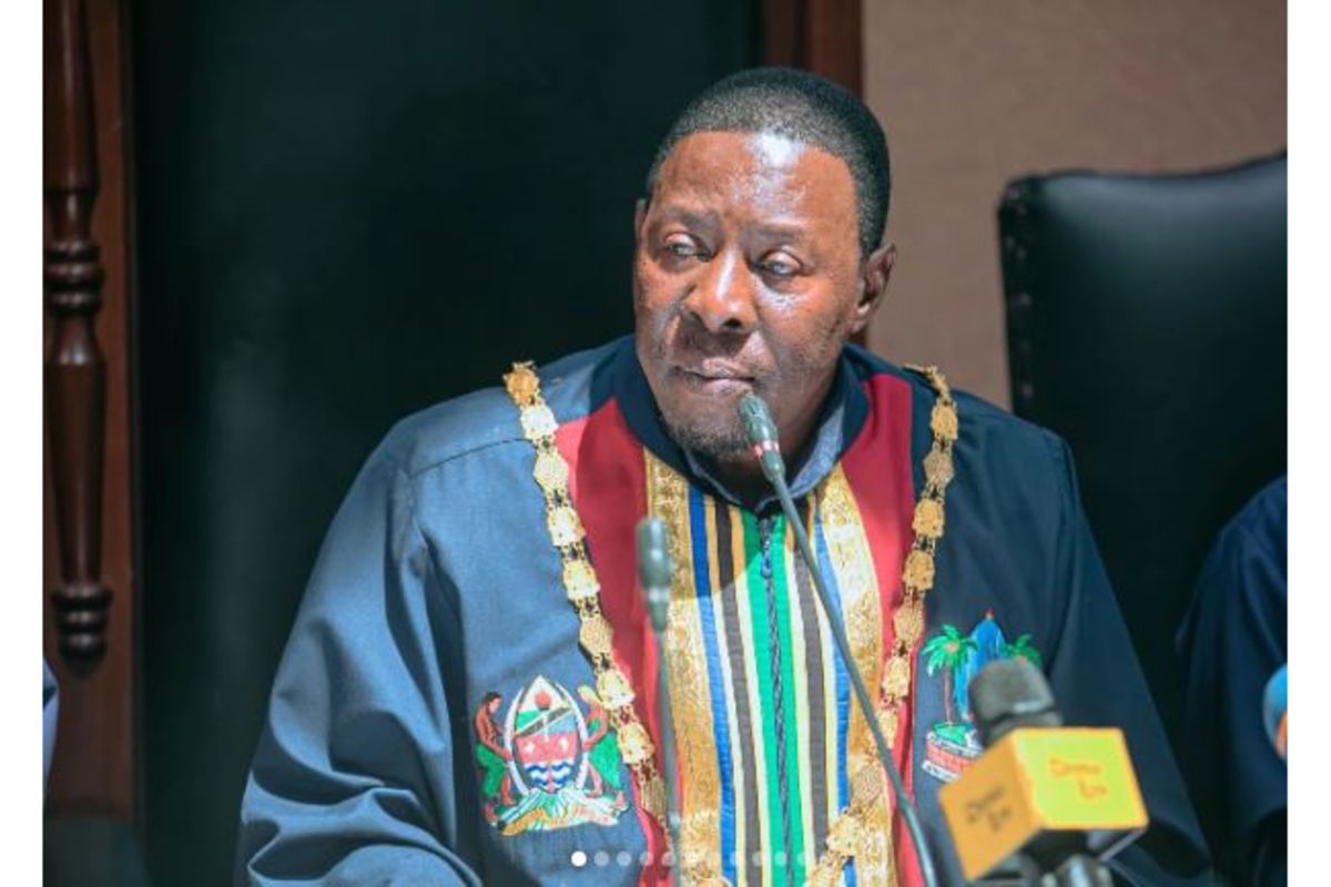 Tanzania motorists raise alarm over parking system chaos