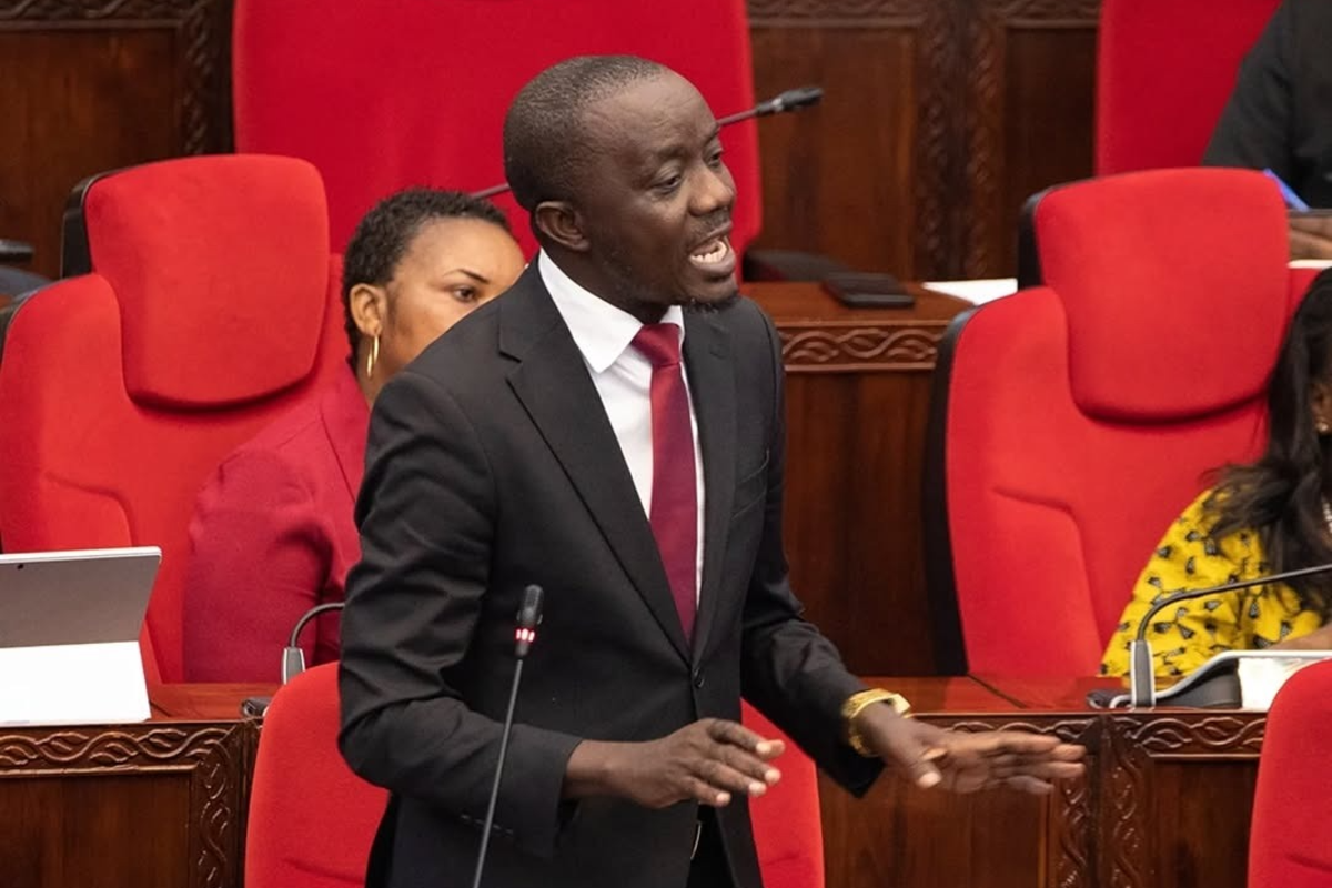 Tanzania: How MPs, Zanzibar representatives clashed over union issues