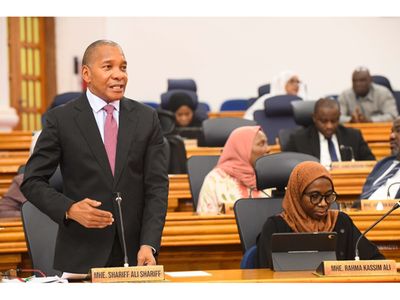Zanzibar moves to fix budget law gap