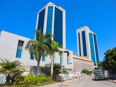 Finance Act changes on Bank of Tanzania borrowing spark repayment debate