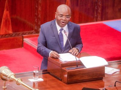 Prof Mkumbo names five sectors for economic transformation