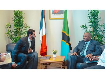 Tanzania, UAE seek stronger diplomatic and cultural ties