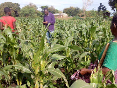 Morogoro cooperative sector hit by conflict