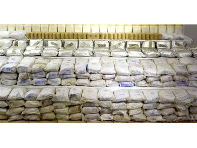 Anti-drugs authority arrests 117 narcotics suspects