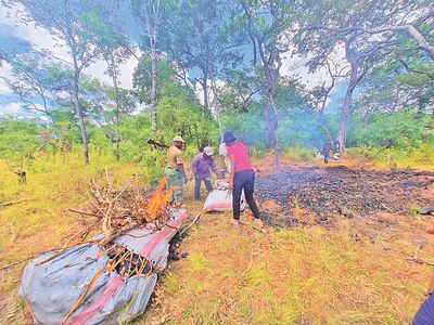 How farming, logging push Kilombero wetlands to ruin
