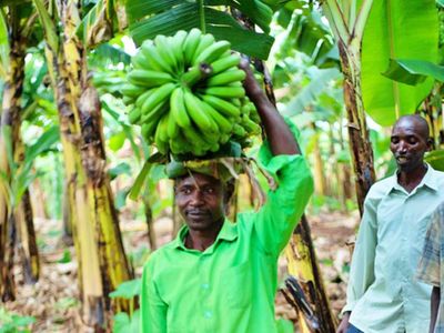 East Africa urged to embrace agroecology to strengthen food security and climate resilience