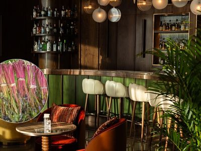 Hidden in the VIP: The illicit rise of khat 'Mirungi' in city bars