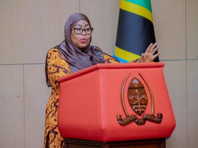 Samia revives constitutional reform agenda after meeting political parties