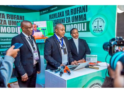 PPAA pushes online appeals to boost transparency in public tenders