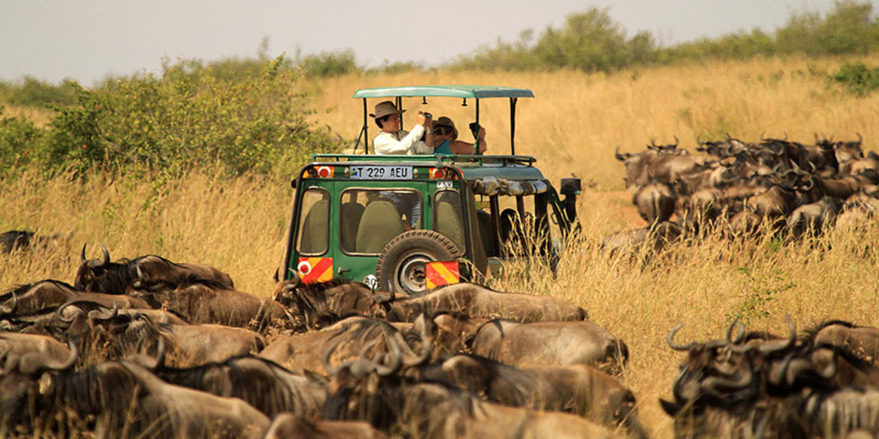 tourists-spend-more-as-tanzania-s-premium-travel-market-expands-the