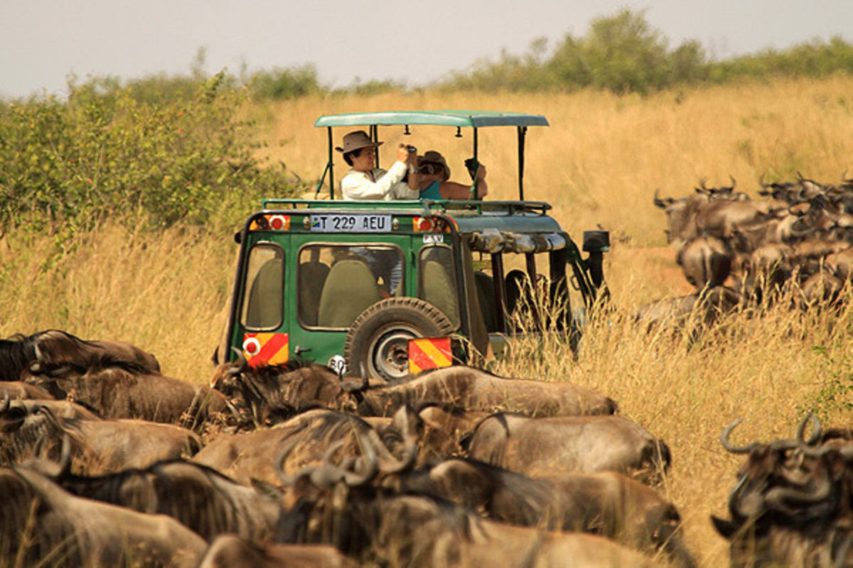 Tourists spend more as Tanzania’s premium travel market expands