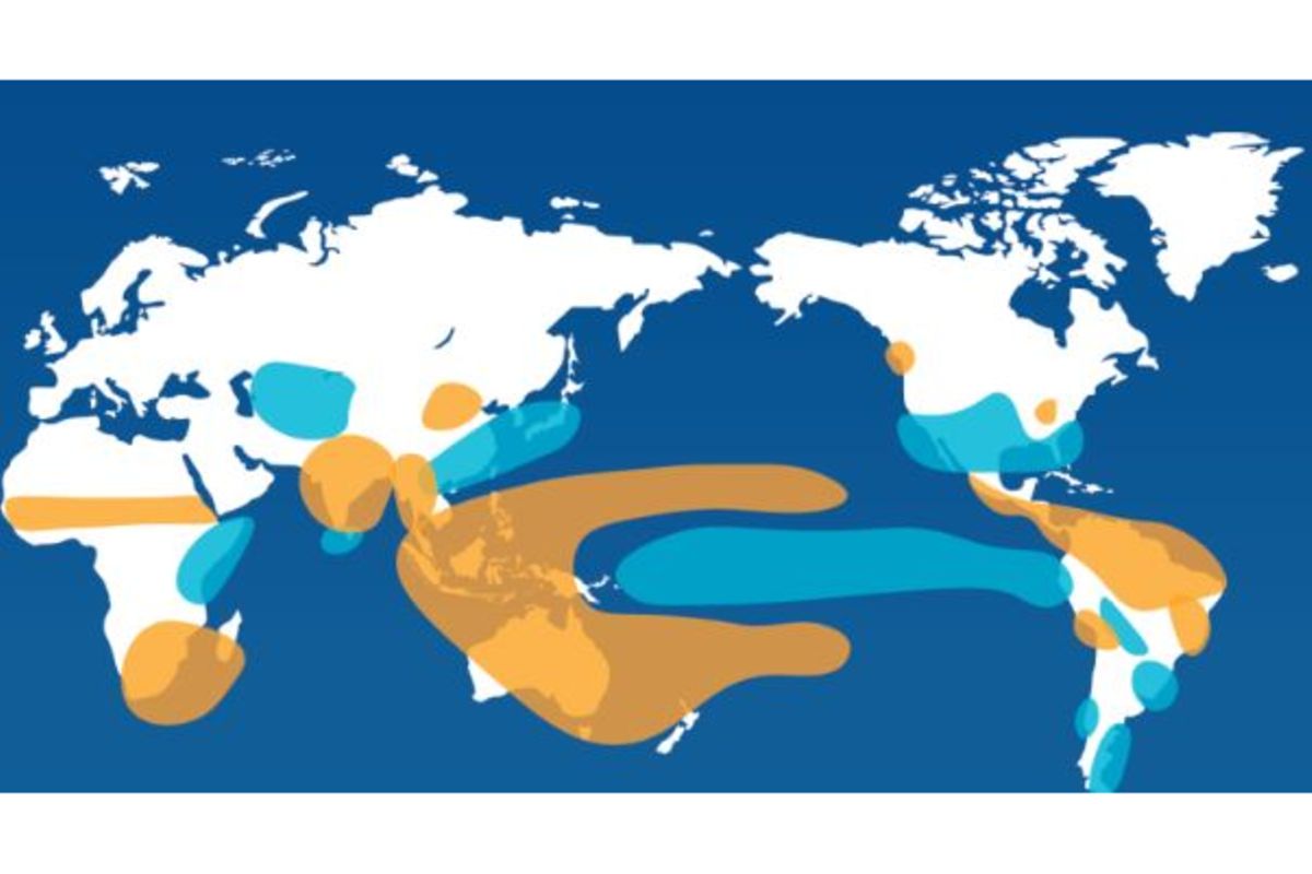 Africa on high alert as historic El Niño looms