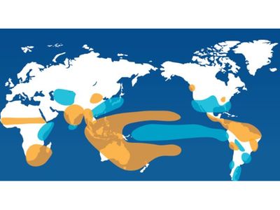Africa on high alert as historic El Niño looms
