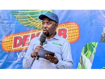 Farmers offered verification tool to combat fake seeds in new campaign
