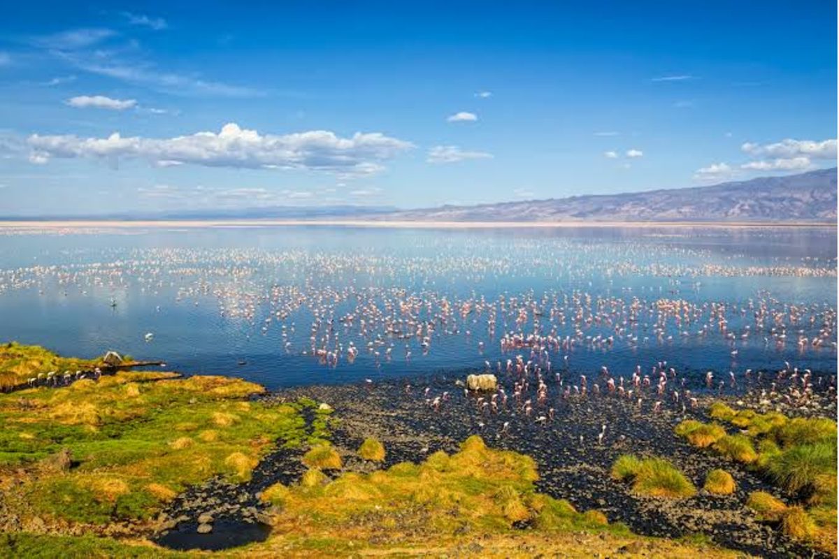 New Engaresero Airstrip Aims to Boost Lake Natron Tourism Year‑Round