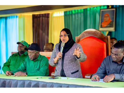 Elephant raids leave Tanzania's Karagwe farmers facing food crisis