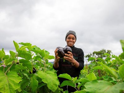 Young Tanzanians turn farming into new route to jobs, business