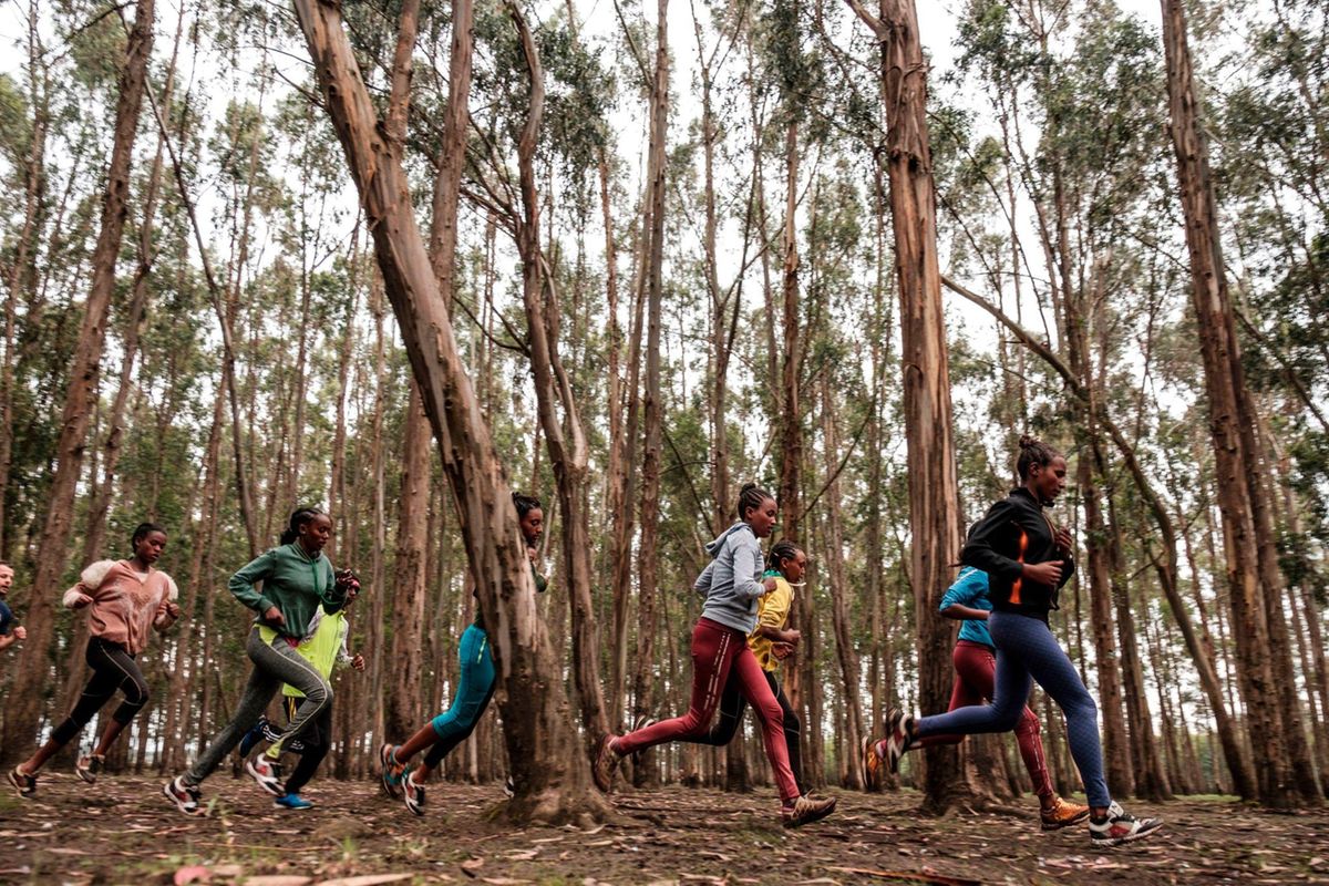 Climate crisis threatens marathon kings