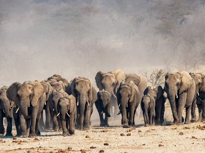 When conservation becomes a burden for local communities