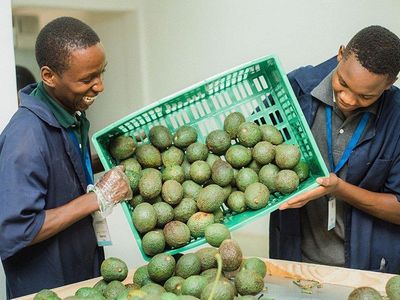 Cold chain emerges as new investment frontier in Tanzania