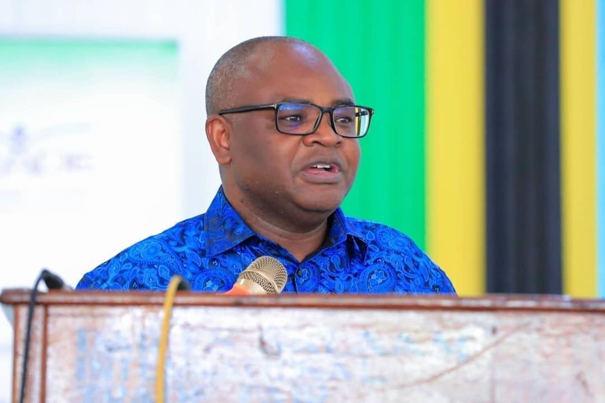 Tanzania steps up bid for Nippon capital