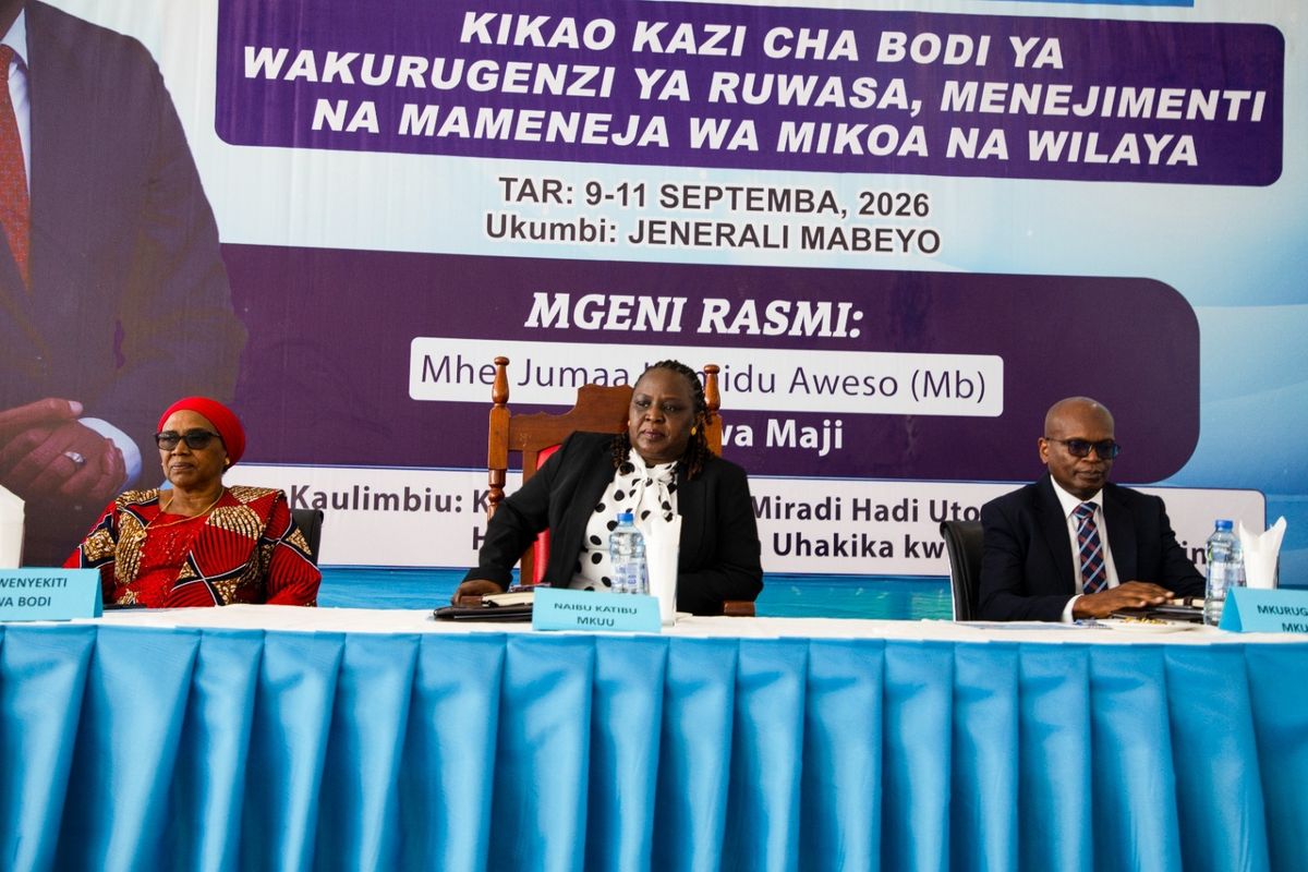 Ruwasa targets 1,575 villages as funding gap hits Sh3 trillion